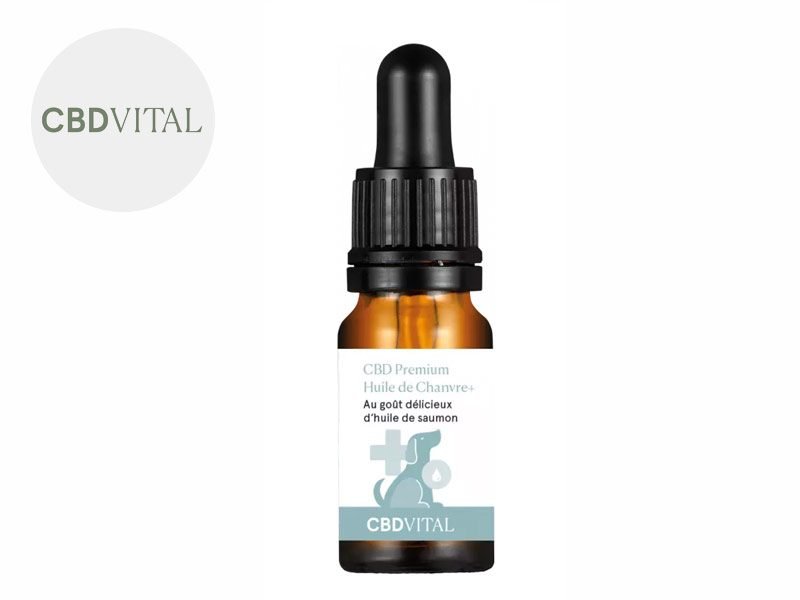 Huile CBD pour animaux Huile CBD Chien 4% CBD VITAL