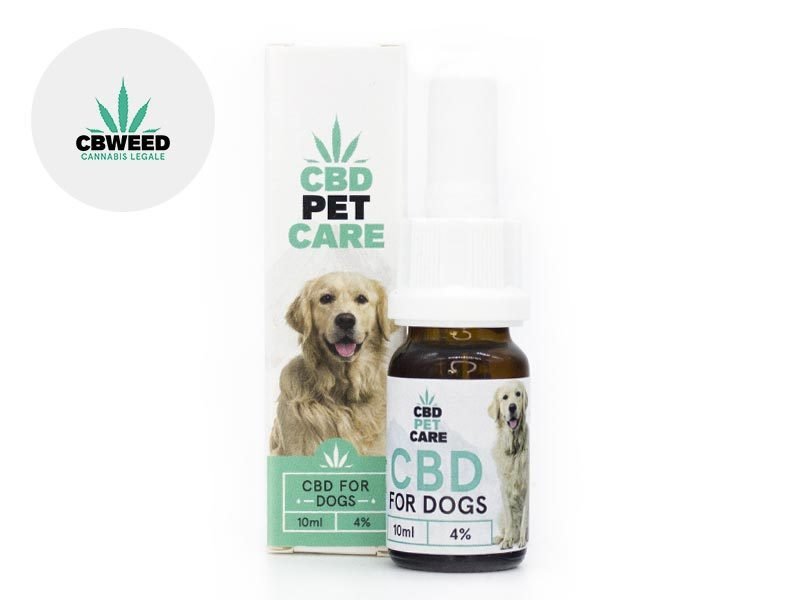 Huile CBD pour animaux Huile CBD Chien 4% Cbweed