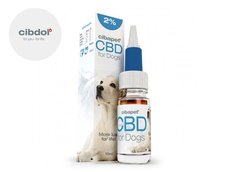 Huile CBD pour animaux Huile CBD Chien 2% Cibdol