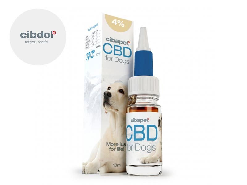 Huile CBD pour animaux Huile CBD Chien 4% Cibdol