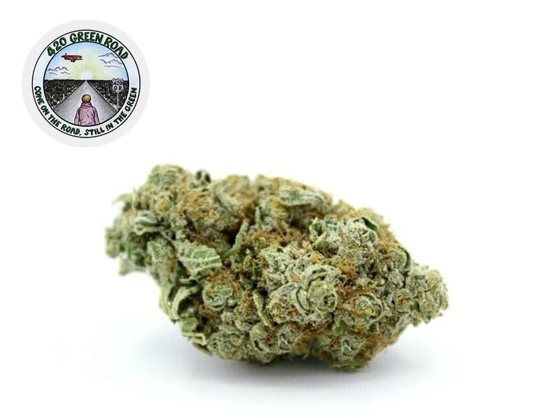 Fleurs CBD Fleur White Rhino CBG Indoor 10.1% 420 Green Road