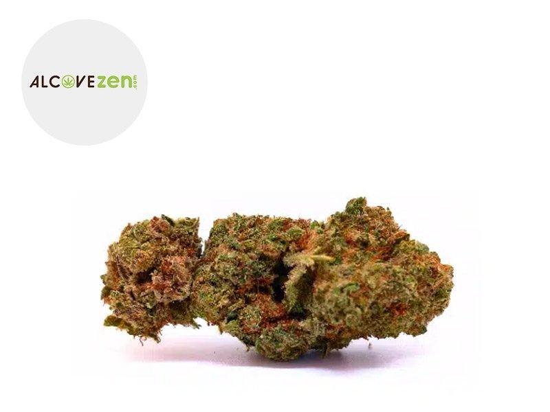 Fleurs CBD Fleur Mango Haze CBD Indoor 10% Alcovezen