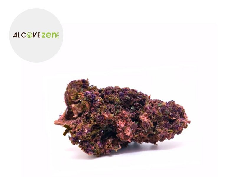 Fleurs CBD Fleur Tropicana Haze CBL Sous serre 15% Alcovezen