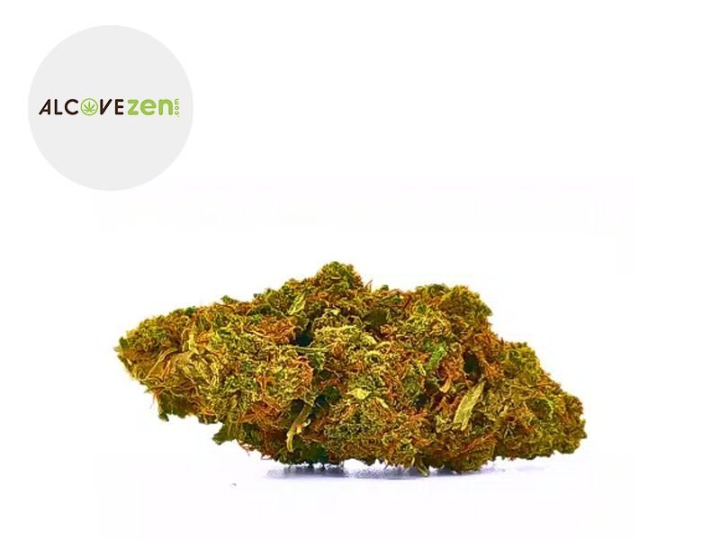 Fleurs CBD Fleur Watermelon CBD Sous serre 10% Alcovezen