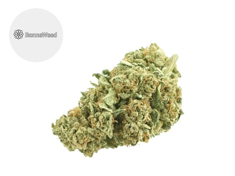 Fleurs CBD Fleur Amnesia CBD Indoor 19.5% BonneWeed