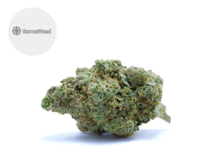 Fleurs CBD Fleur Blueberry CBD Indoor 20% BonneWeed