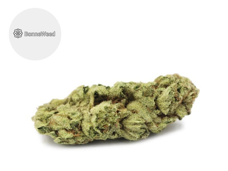 Fleurs CBD Fleur OG Kush Frost CBD Indoor 21% BonneWeed