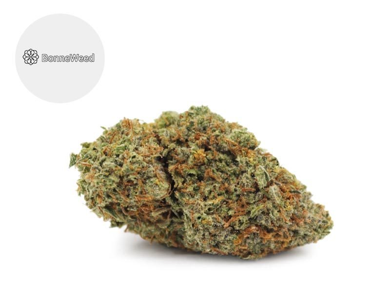 Fleurs CBD Fleur Super Lemon CBD Indoor 22% BonneWeed