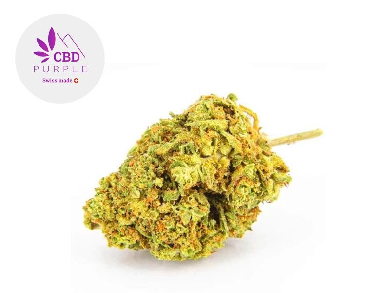 Fleurs CBD Fleur Bubba Kush CBD Indoor 17% CBD Purple