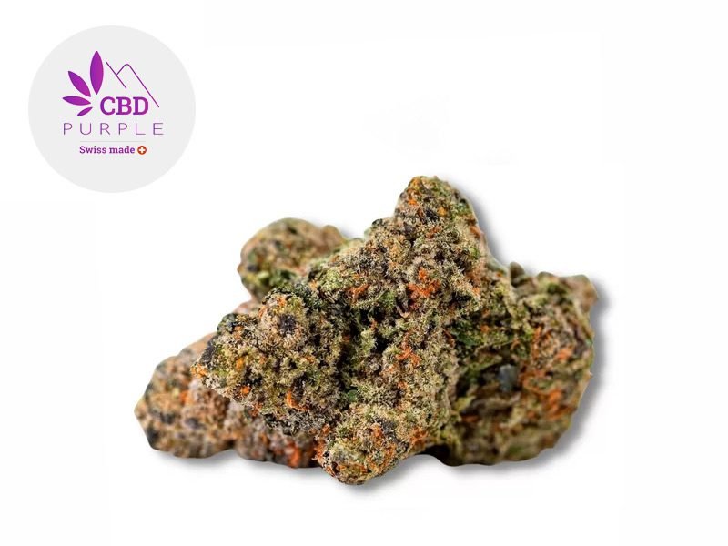 Fleurs CBD Fleur Girl Scout Cookies CBD Indoor 19% CBD Purple