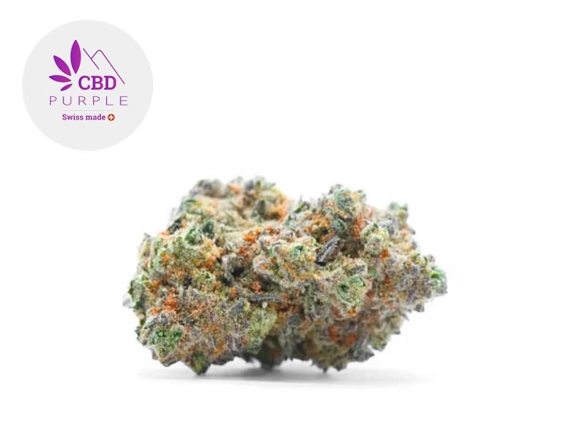 Fleurs CBD Fleur Gorilla Glue CBD Indoor 16% CBD Purple