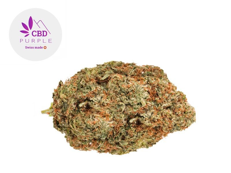Fleurs CBD Fleur OG Kush CBD Indoor 13% CBD Purple