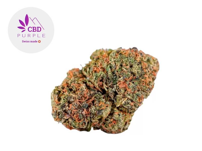 Fleurs CBD Fleur Pineapple Haze CBD Sous serre 9.8% CBD Purple