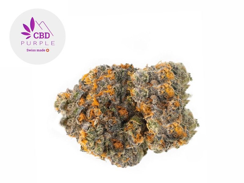 Fleurs CBD Fleur Strawberry Diesel CBD Indoor 21% CBD Purple