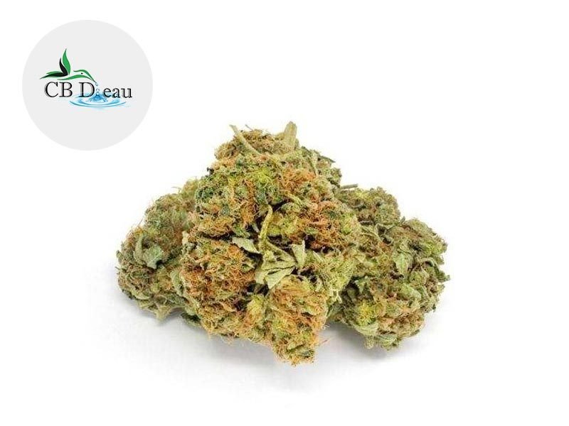 Fleurs CBD Fleur Mango Kush CBD Indoor 5% CBDeau