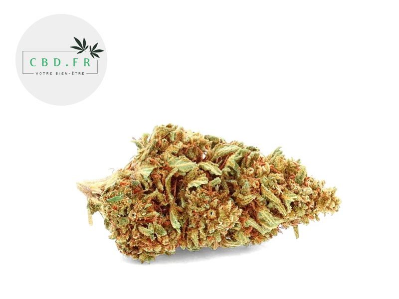 Fleurs CBD Fleur Orange Bud CBD Indoor 17% CBDfr