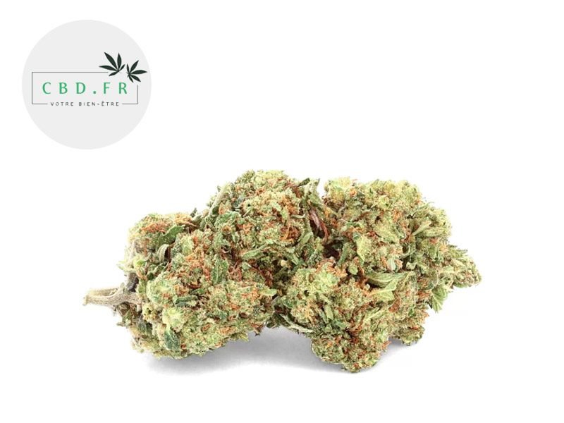 Fleurs CBD Fleur Purple Haze CBD Indoor 16% CBDfr