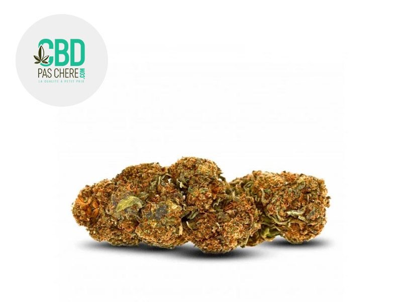 Fleurs CBD Fleur AK-47 CBD Sous serre 15% CBD Pas Chère