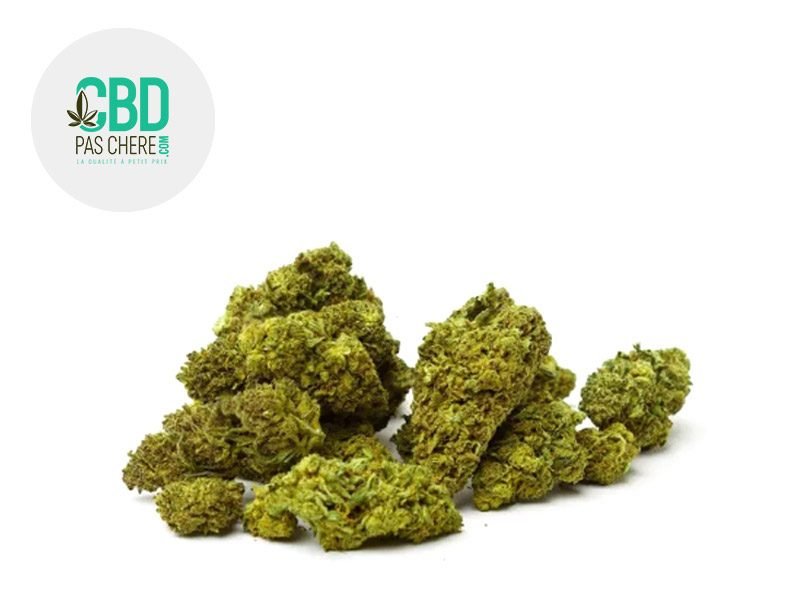 Fleurs CBD Fleur Black Domina CBD Outdoor 15% CBD Pas Chère