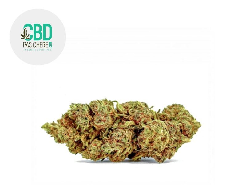 Fleurs CBD Fleur Candy Kush CBD Sous serre 15% CBD Pas Chère