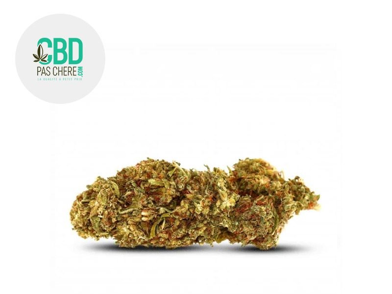 Fleurs CBD Fleur Fruit Cake CBD Sous serre 18% CBD Pas Chère