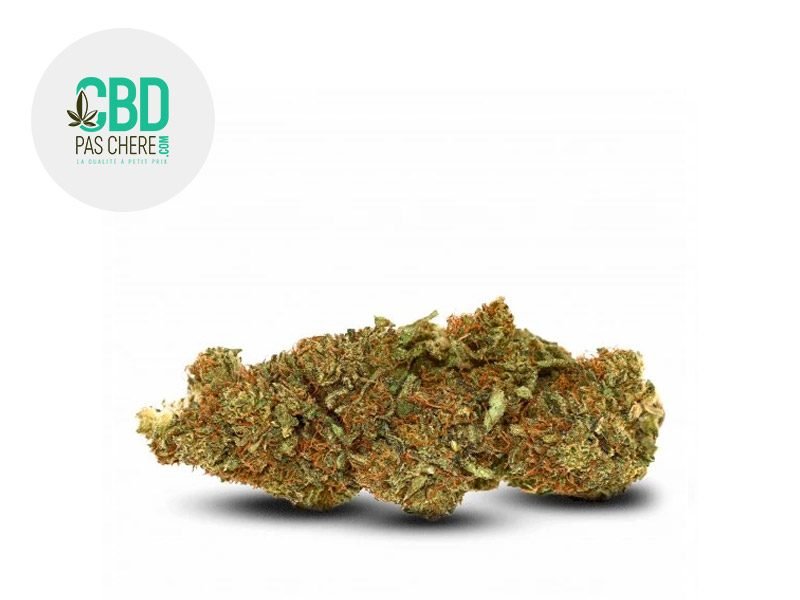Fleurs CBD Fleur Gelato CBD Indoor 18% CBD Pas Chère