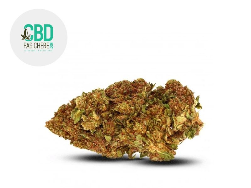 Fleurs CBD Fleur Girl Scoot Cookies CBD Indoor 18% CBD Pas Chère