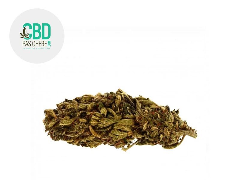 Fleurs CBD Fleur Jack Herer CBD Sous serre 19% CBD Pas Chère