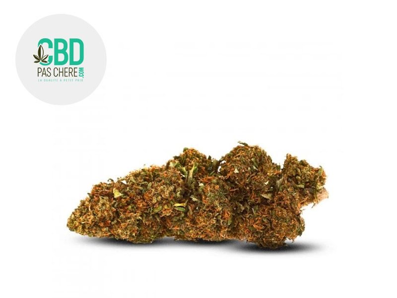 Fleurs CBD Fleur JamaiKann CBD Sous serre 13% CBD Pas Chère