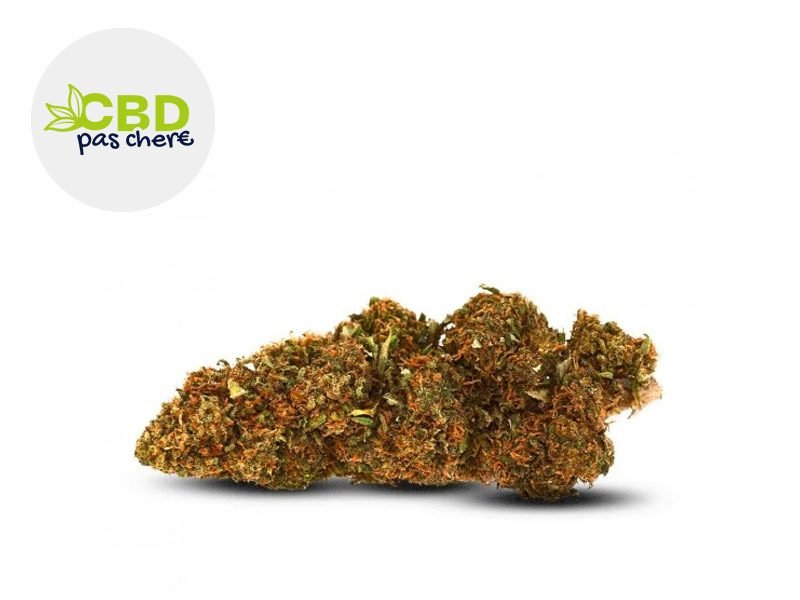 Fleurs CBD Fleur JamaiKann CBD Sous serre 13% CBD Pas Chère