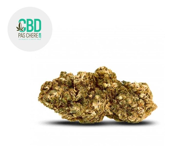 Fleurs CBD Fleur Mango Kush CBD Indoor 20% CBD Pas Chère