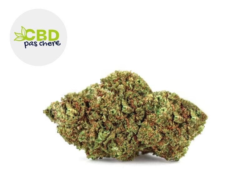 Fleurs CBD Fleur Mango Kush CBD Indoor 20% CBD Pas Chère