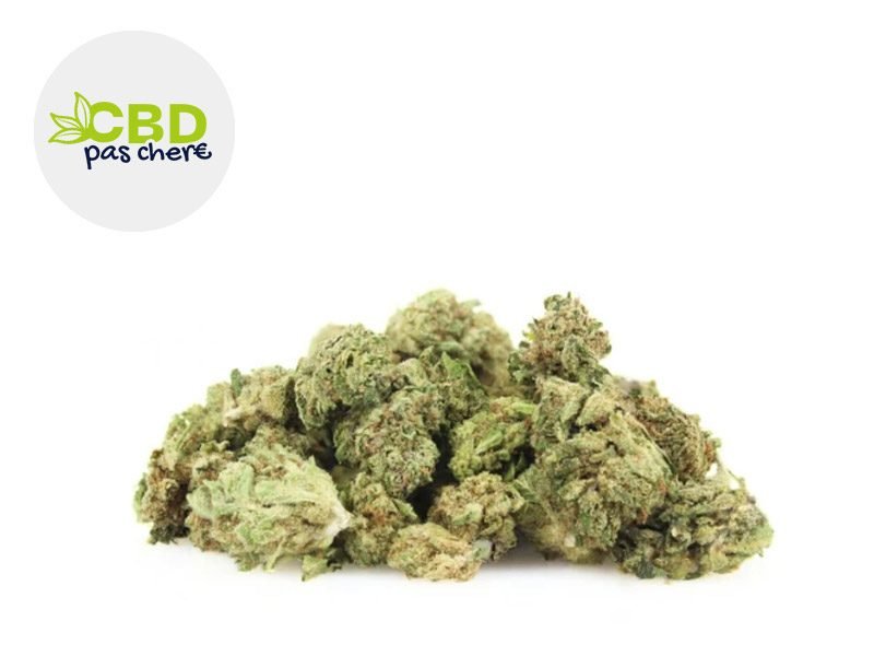 Fleurs CBD Fleur Mini Bud AK-OG CBD+ Indoor 29% CBD Pas Chère