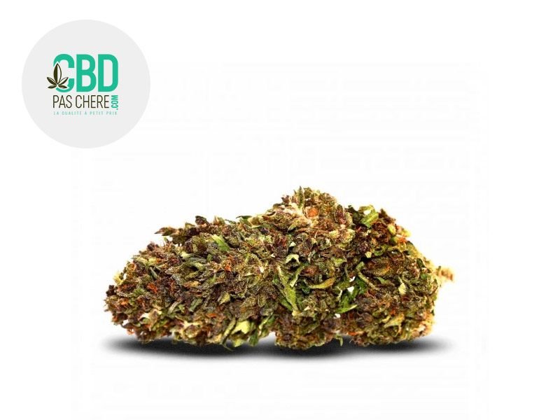 Fleurs CBD Fleur Northern Light CBD Sous serre 18% CBD Pas Chère