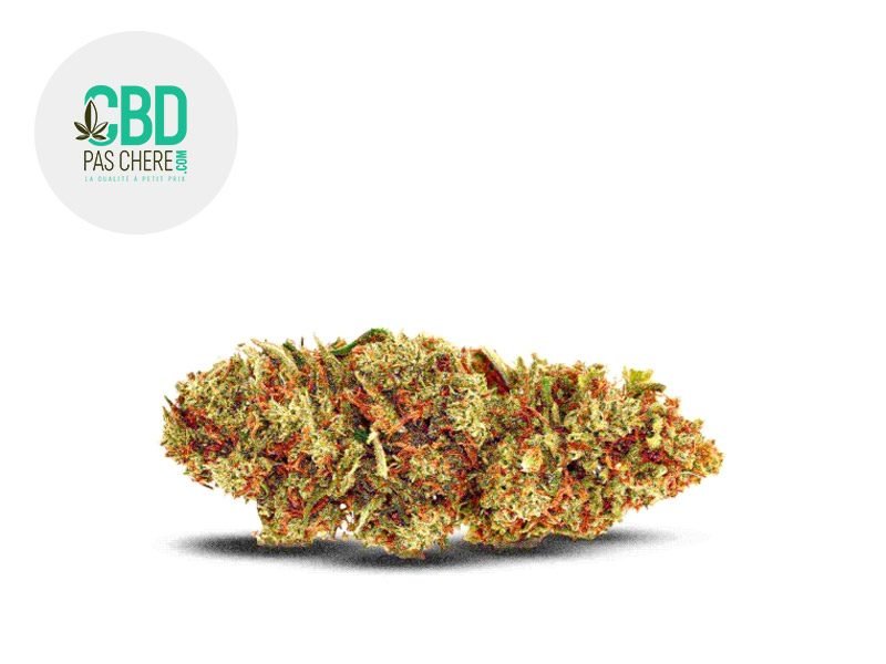 Fleurs CBD Fleur Royal Cookies CBD Indoor 19% CBD Pas Chère
