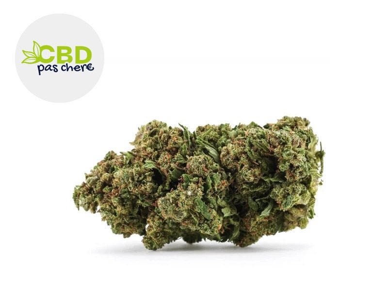 Fleurs CBD Fleur Runtz CBD+ Indoor 32% CBD Pas Chère