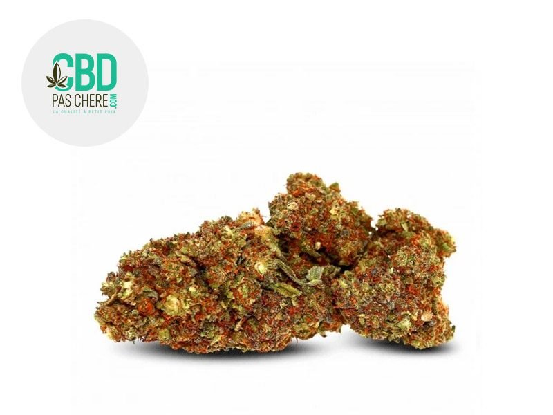 Fleurs CBD Fleur Strawberry Banana SS CBD Sous serre 18% CBD Pas Chère
