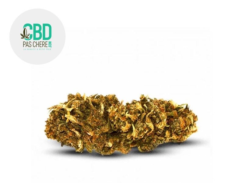 Fleurs CBD Fleur Super Lemon 2.0 CBD Outdoor 13% CBD Pas Chère