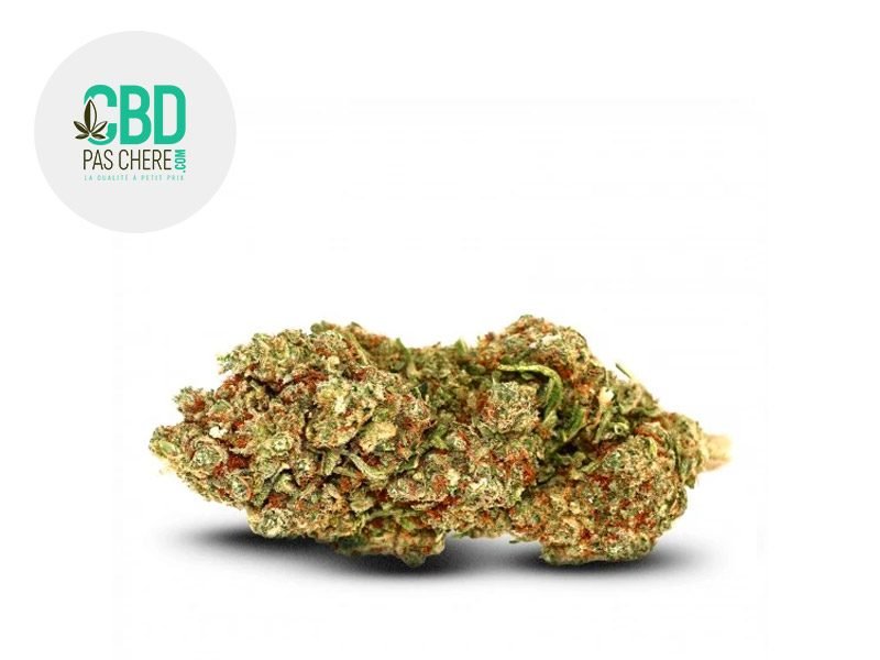 Fleurs CBD Fleur Super Silver Haze CBD Indoor 23% CBD Pas Chère