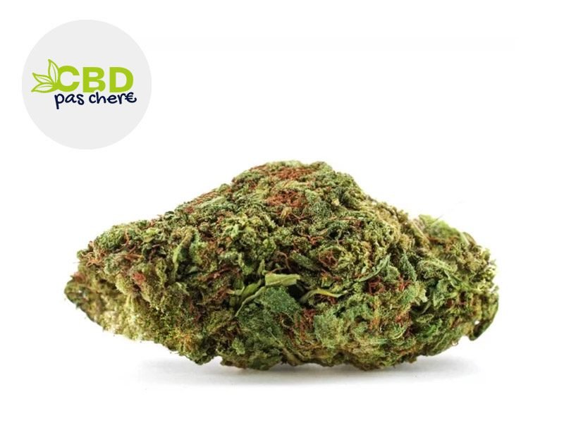 Fleurs CBD Fleur Zkittlez CBD+ Indoor 35% CBD Pas Chère