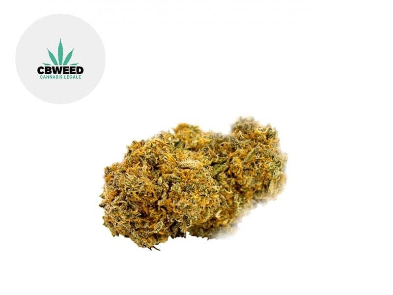 Fleurs CBD Fleur Strawberry CBD Indoor 5.3% Cbweed