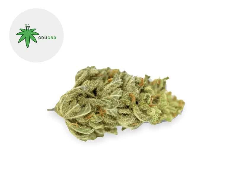 Fleurs CBD Fleur Amnesia Haze CBD Sous serre 16% Cducbd