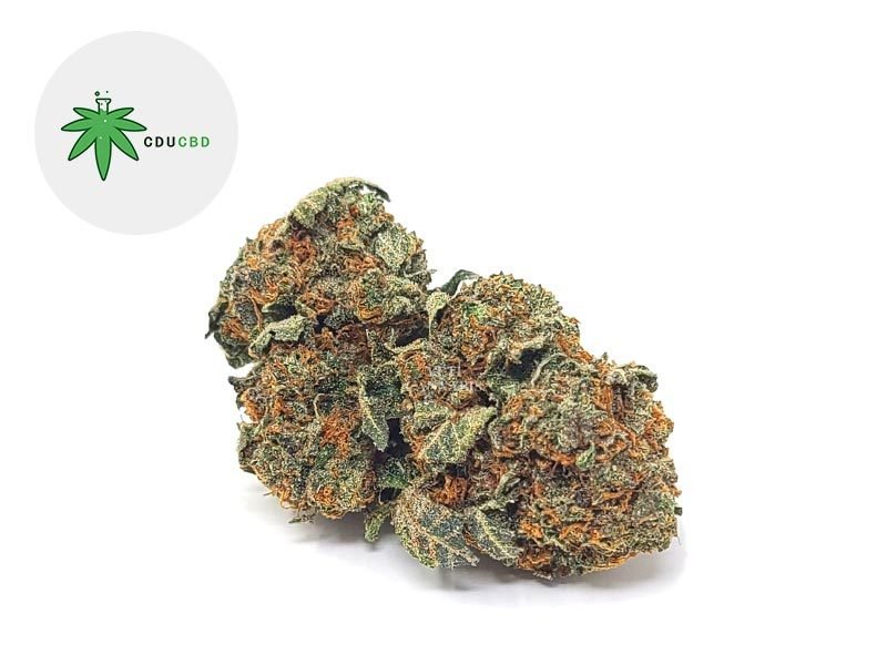 Fleurs CBD Fleur Cookie Kush CBD Indoor 16% Cducbd