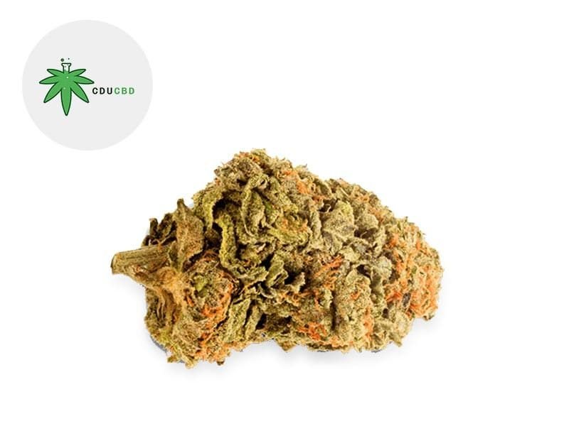 Fleurs CBD Fleur Mango Kush CBD Indoor 16% Cducbd