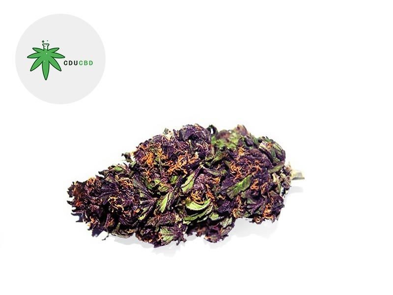 Fleurs CBD Fleur Purple Haze CBD Indoor 19% Cducbd