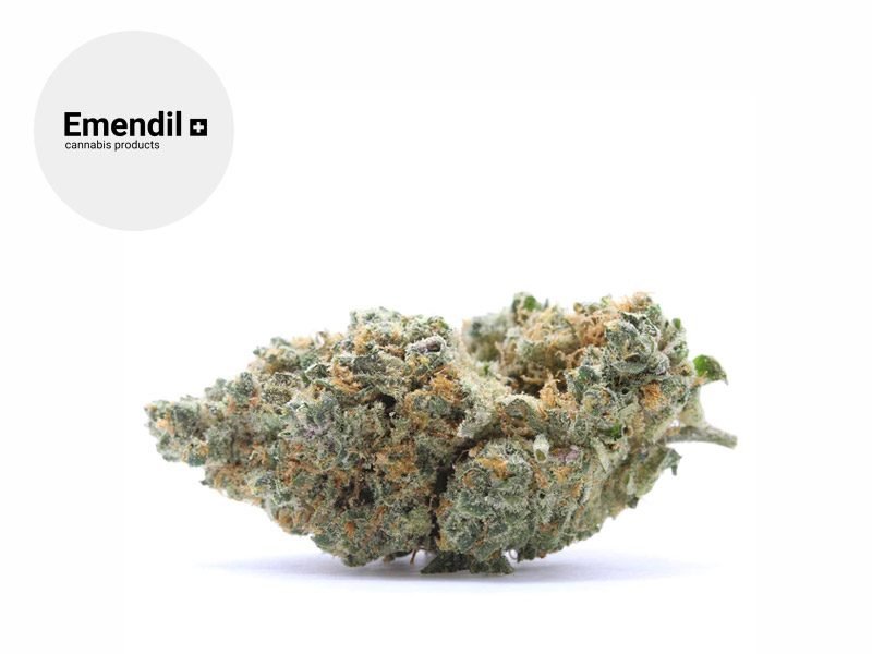 Fleurs CBD Fleur Amnesia Haze CBD Indoor 22.5% Emendil