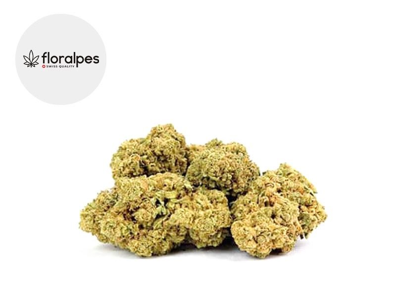 Fleurs CBD Fleur Candy Kush CBD Indoor 13% Floralpes