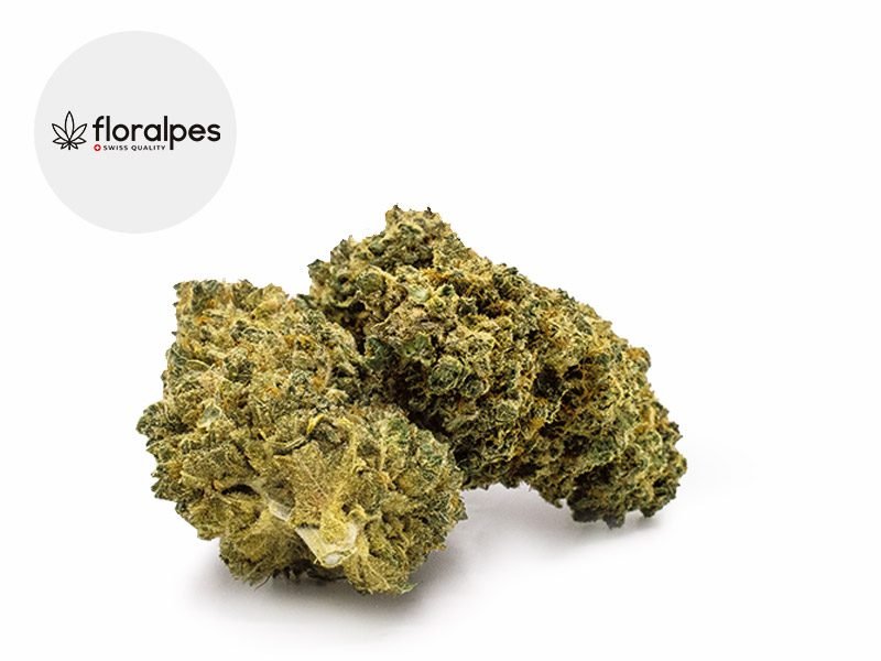 Fleurs CBD Fleur Lemon Haze CBD Indoor 12% Floralpes