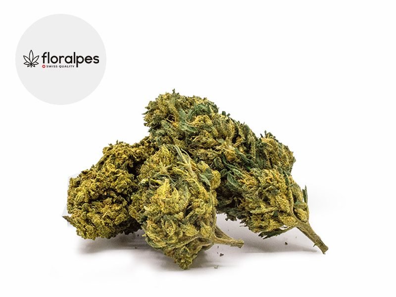 Fleurs CBD Fleur Super Silver Haze CBD Sous serre 11% Floralpes