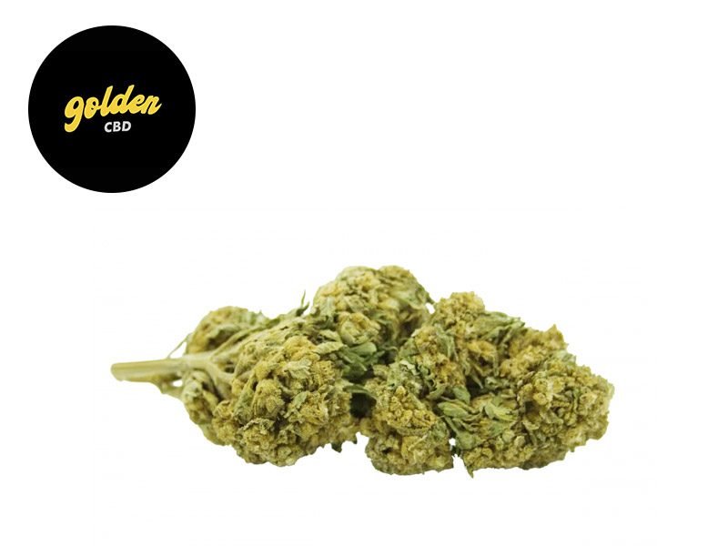 Fleurs CBD Fleur Amnesia Kush CBD Indoor 3.2% Golden CBD